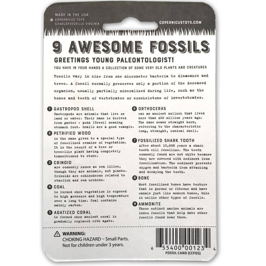 Copernicus Toys - CC: FOSSIL CARD