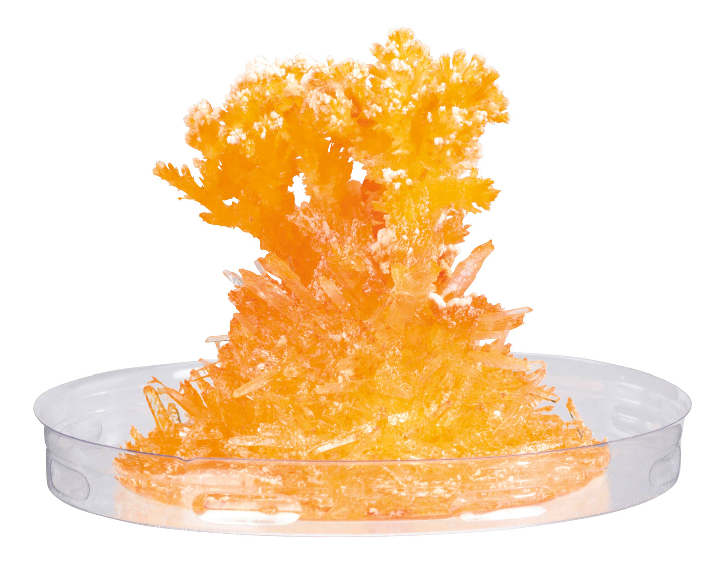 Toysmith - Toy Science Growing Crystals