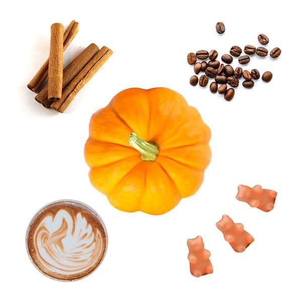 Happy Wax: Pumpkin Spice Latte Wax Melts - 2 oz Pouch -*Seasonal Scent*