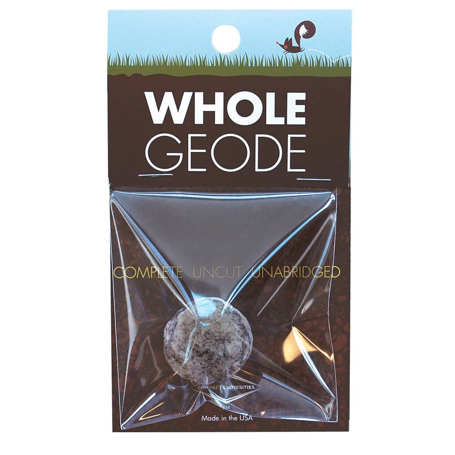 Copernicus Toys - CC: WHOLE GEODE