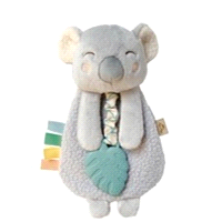 Itzy Ritzy - Lovey Plush with Silicone Teether Toy