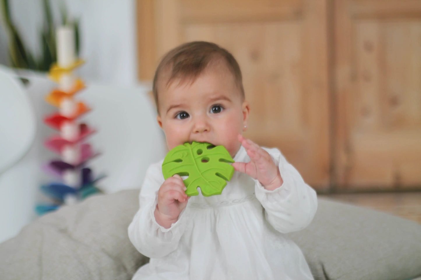 Lanco-Toys - Teethers