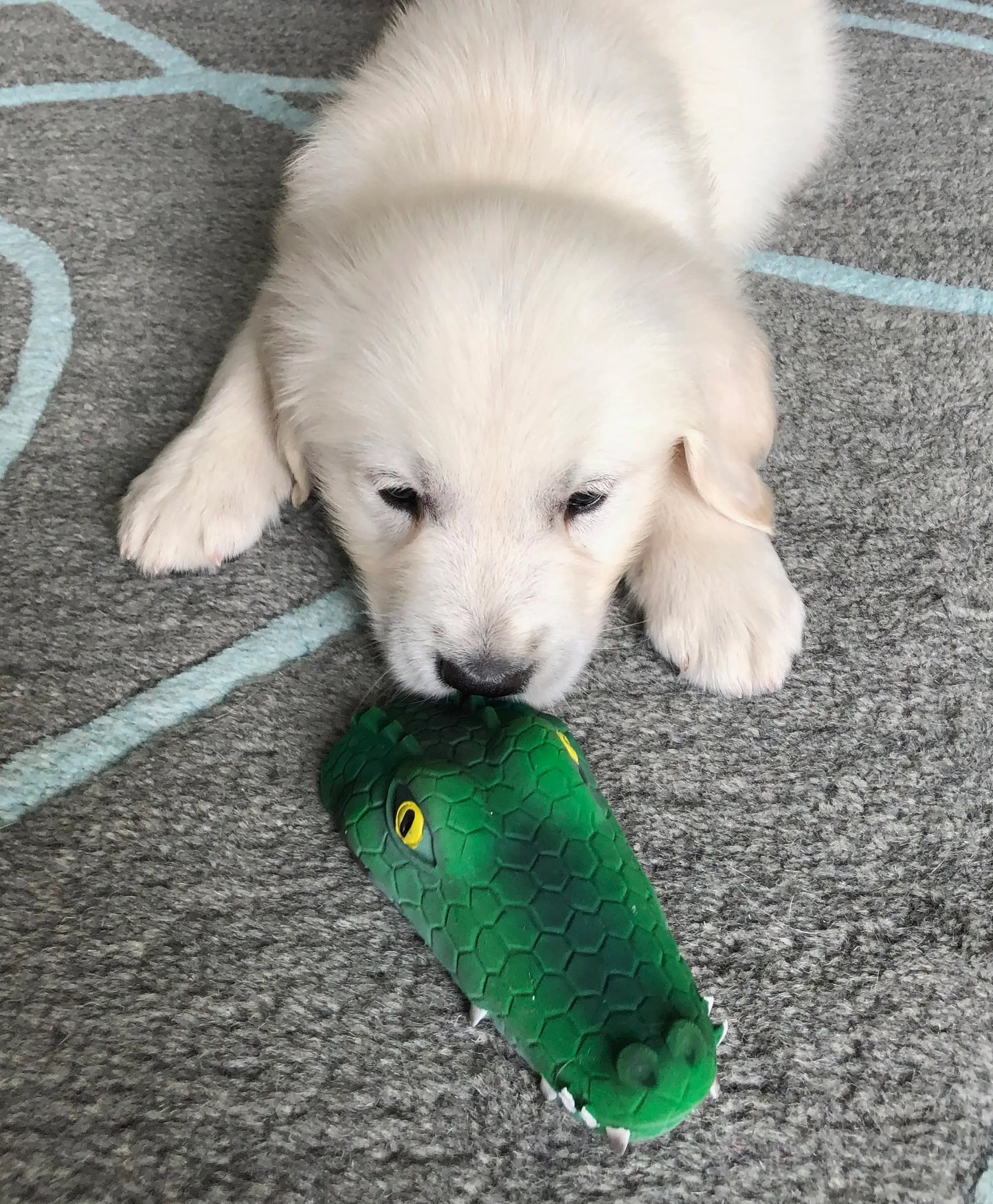 Lanco-Toys - Small Squeaky Alligator