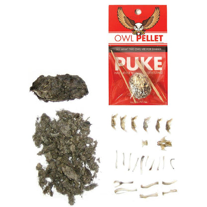 Copernicus Toys - CC: OWL PELLET
