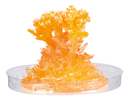 Toysmith - Toy Science Growing Crystals