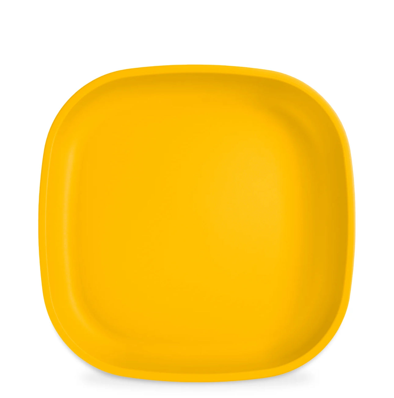 Re-Play - 9" Flat Plate