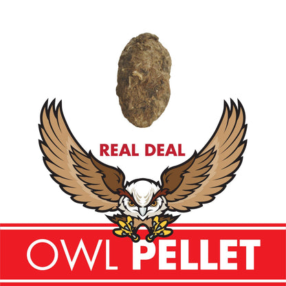Copernicus Toys - CC: OWL PELLET