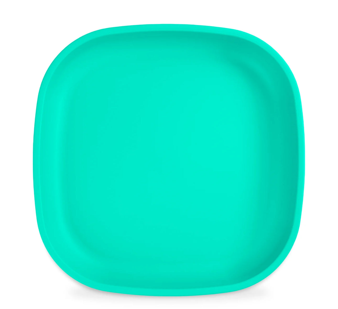 Re-Play - 9" Flat Plate