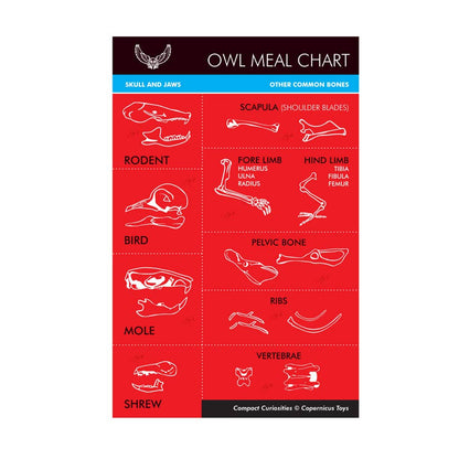 Copernicus Toys - CC: OWL PELLET