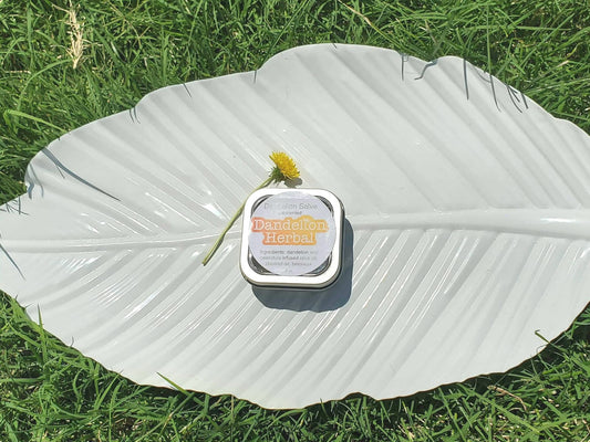 Dandelion Herbal - Dandelion Salve