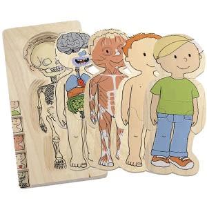 Hape - Your Body 5 Layer Puzzle