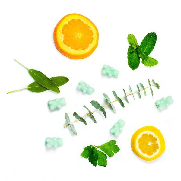 Happy Wax - EUCALYPTUS SPEARMINT 2 OZ. POUCH