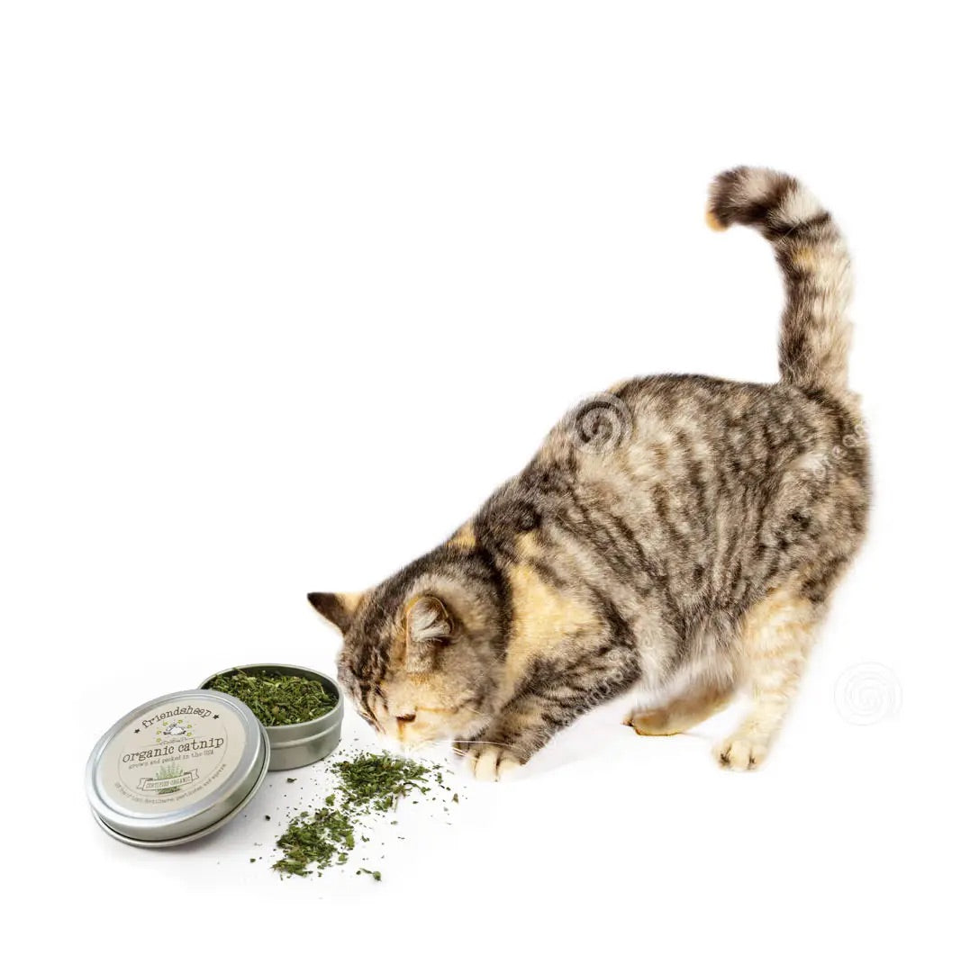 Friendsheep - Organic Catnip Tin