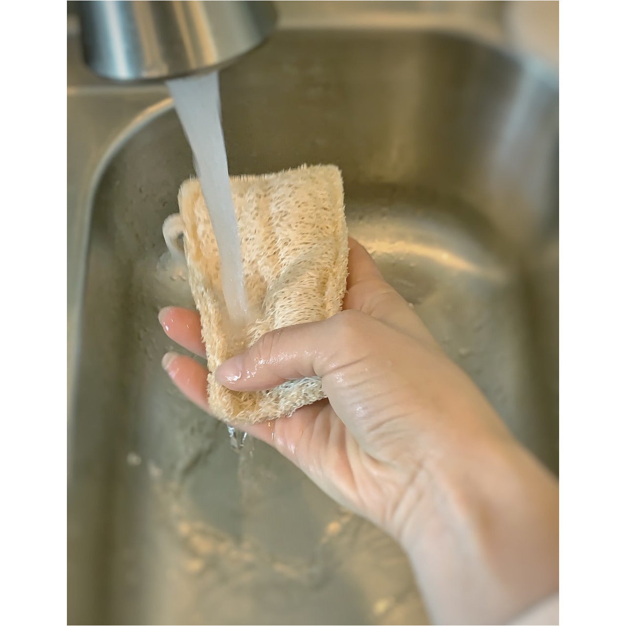 Eco Dish Sponges: Double Layer 3-Pack – me.motherearth
